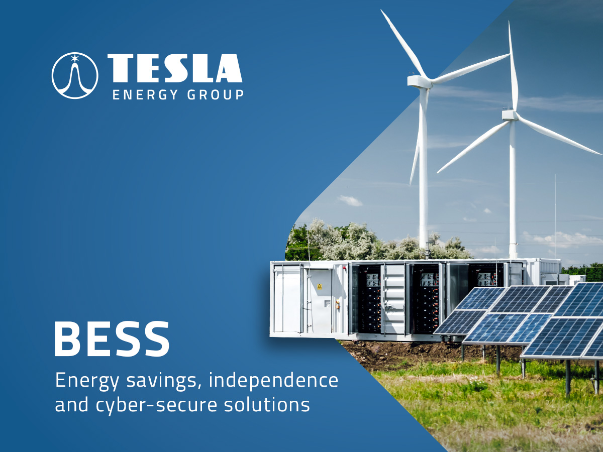 TESLA ENERGY GROUP