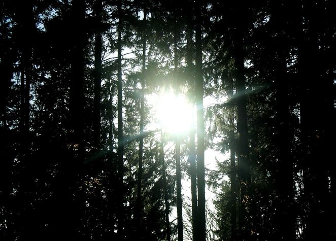 Vynašli spôsob, ako energiu zo slnka premieňať na tekuté palivo