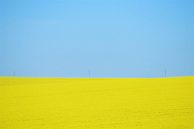 Slovenskí biopalivári: novela smernice o OZE pomôže aj využívaniu konvenčných biopalív