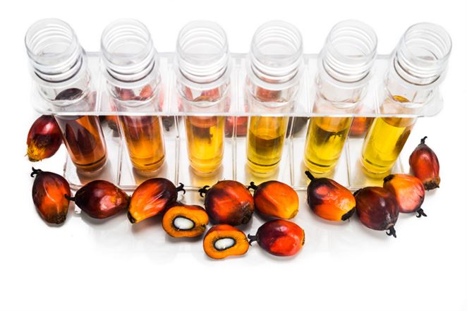 Dopyt po palmovom oleji nerastie kvôli biopalivám, tvrdia slovenskí výrobcovia