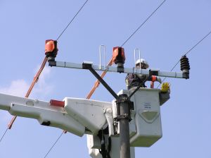 Západoslovenská energetika podporila ochranu dravcov