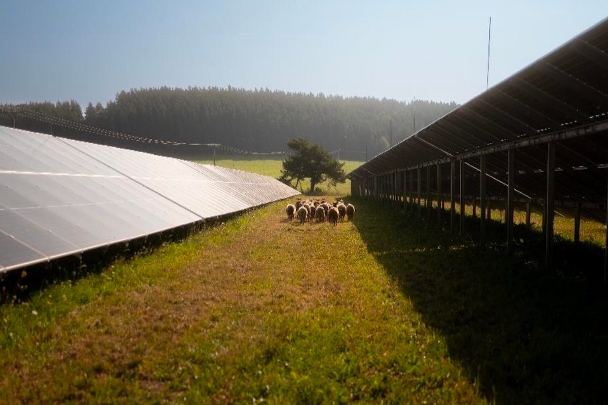 Ďalšia agrovoltika na Gemeri to nemá s povolením jednoduché. Úrad namieta aj proti oploteniu