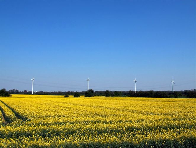 Trh biopalív zažíva zmeny. Konvenčné biopalivá majú prísť o podporu