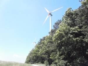 Vláda schválila návrh analýzy systému podpory obnoviteľných zdrojov energie