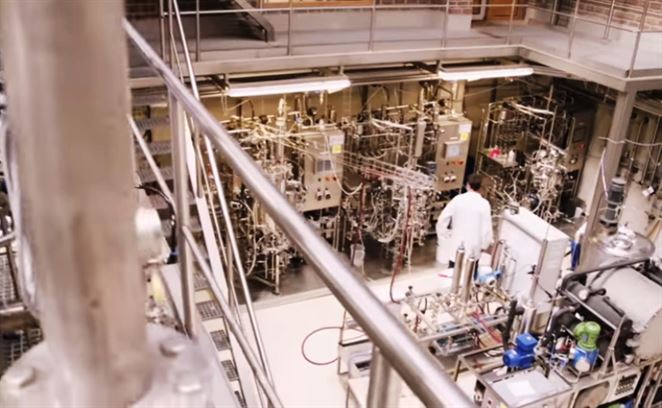 Škóti vyrobili biopalivo z odpadu po výrobe whisky