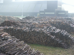 Biomass.gif
