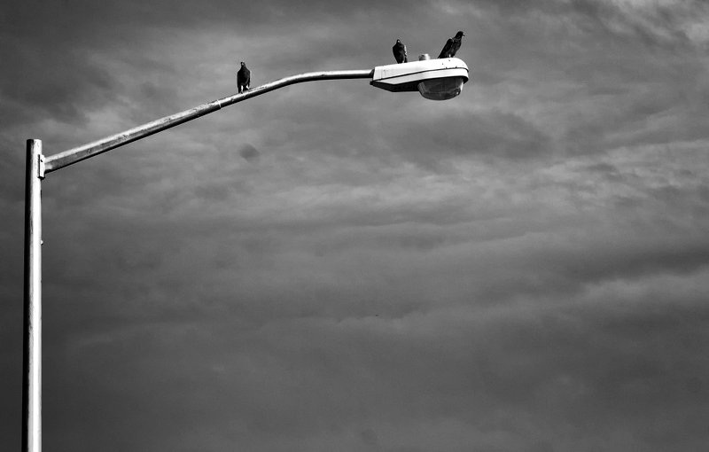 Trnava vymení 240 starých svietidiel na lampách verejného osvetlenia