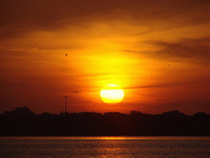 WFES 2011: Die Sonne muss keinen Einfluss auf den Endstrompreis haben